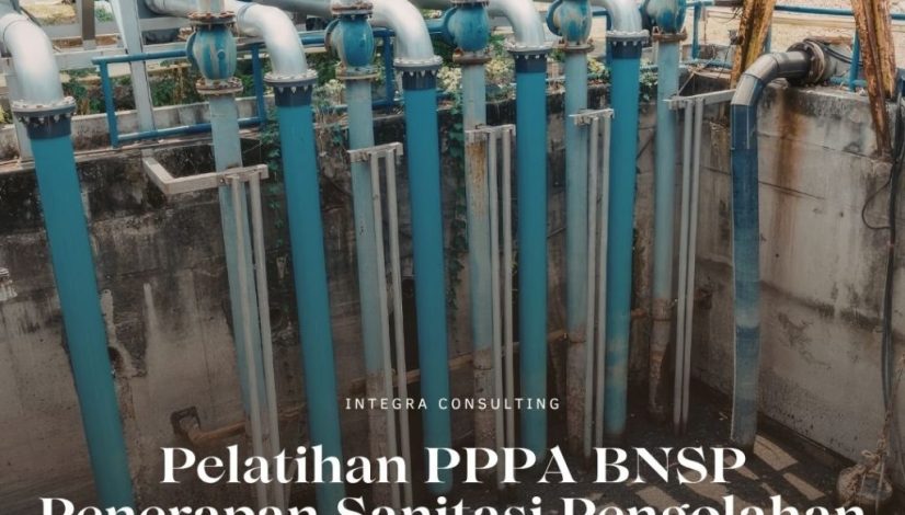pelatihan pppa bnsp