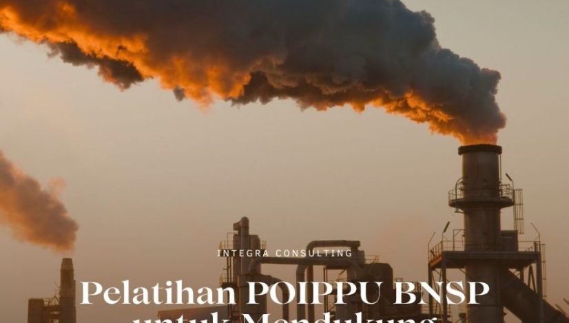 pelatihan pppu bnsp